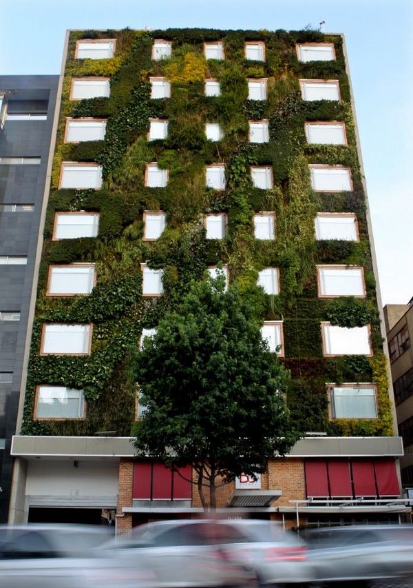 建筑墙体绿化