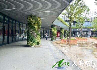 医院垂直绿化，台州医院包柱子立体绿化景观