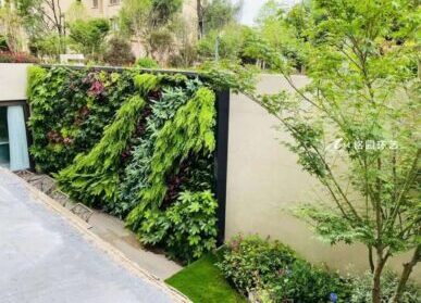 别墅院墙绿化，院子垂直绿化景观造景