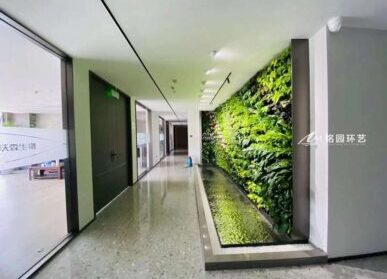 企业绿植形象墙，公司过道室内垂直绿化景观