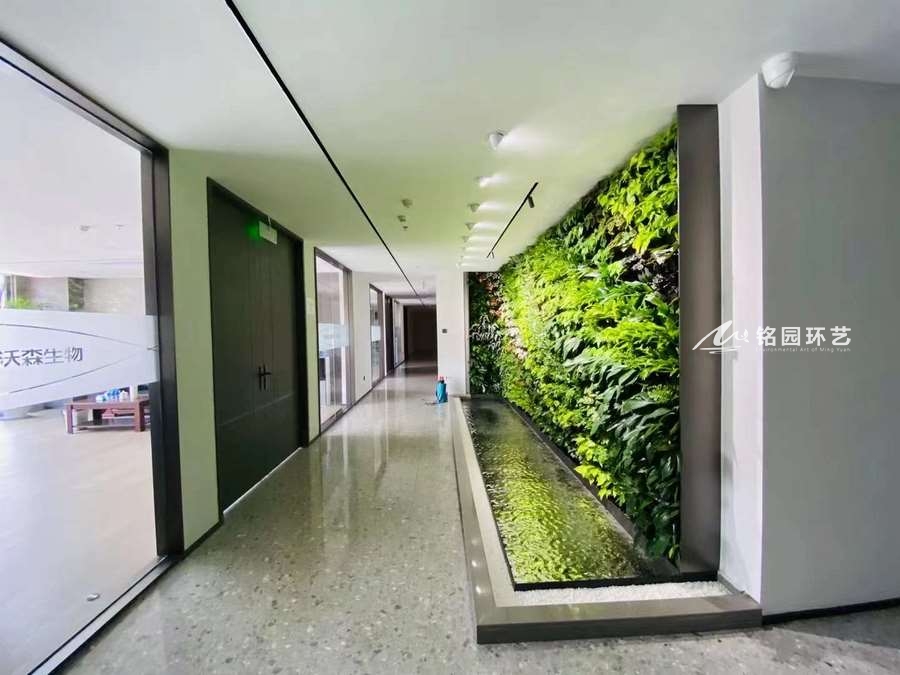 企业绿植形象墙