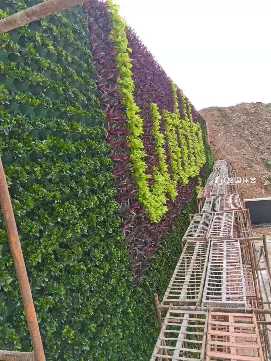 绿植形象墙