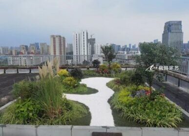 屋顶花园景观，机构、公司楼顶绿化施工